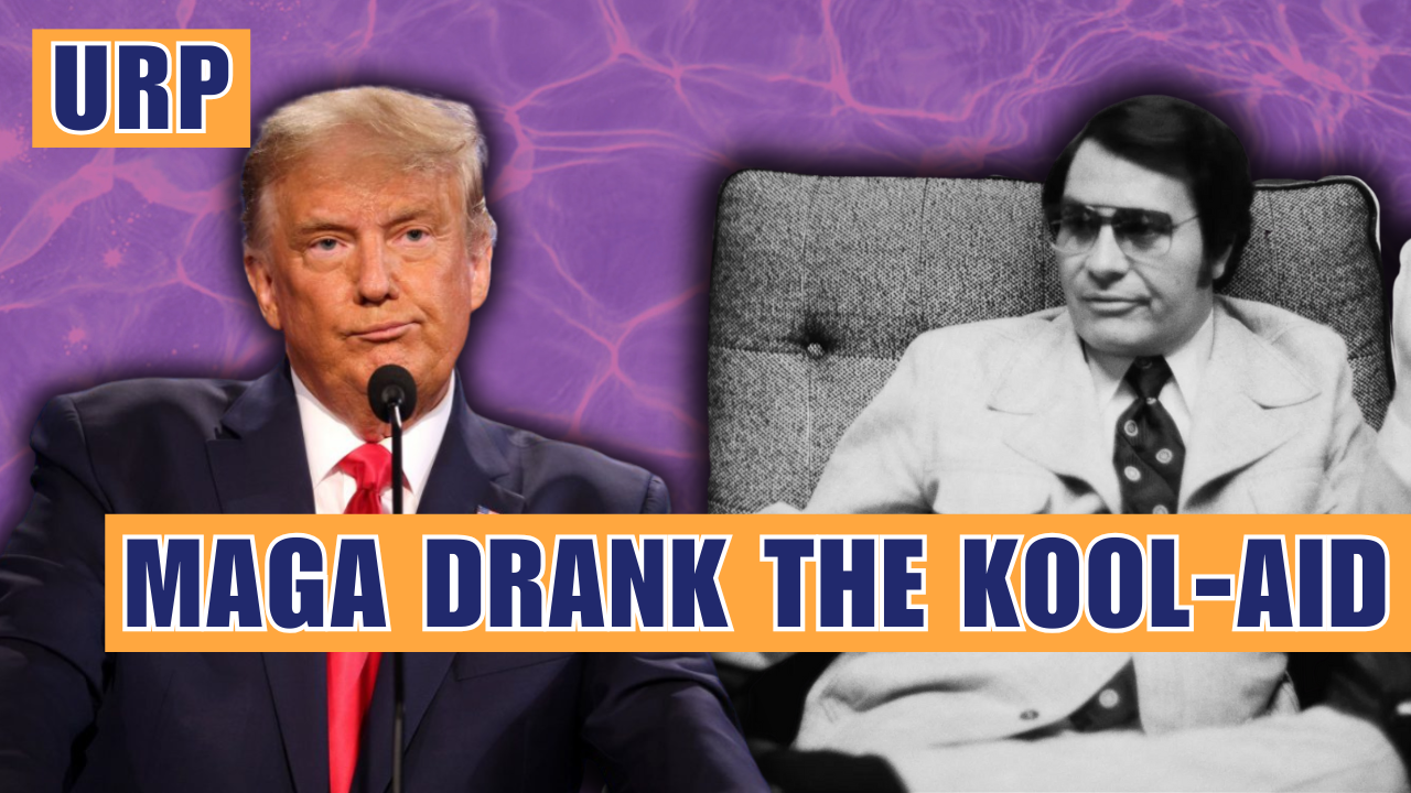 2nd Amendment, what? MAGA Cult Kool-Aid Drinkers